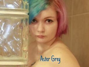 Aster_Grey