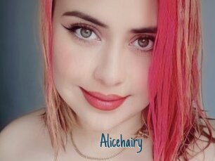 Alicehairy