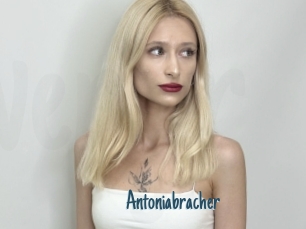 Antoniabracher