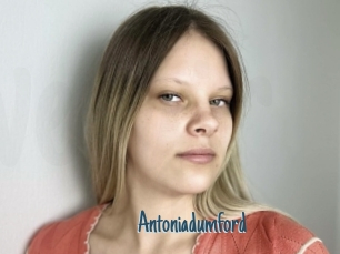 Antoniadumford