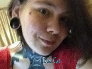 Buzz_Cat