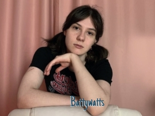 Battywatts