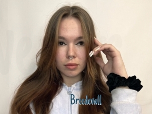 Breedevall