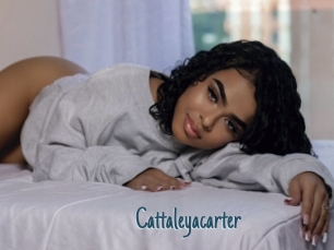 Cattaleyacarter