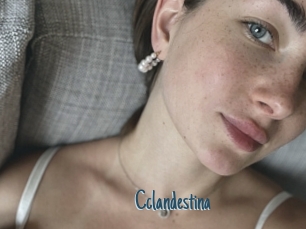 Cclandestina