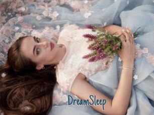 DreamSleep