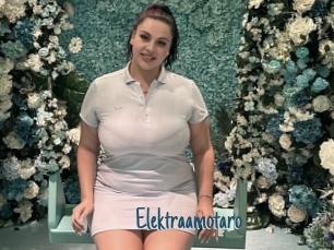 Elektraamotaro