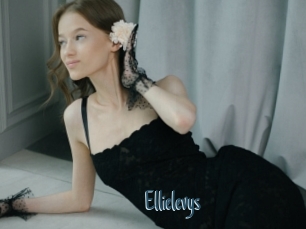 Ellielevys