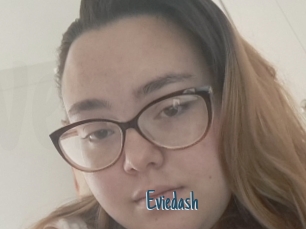 Eviedash