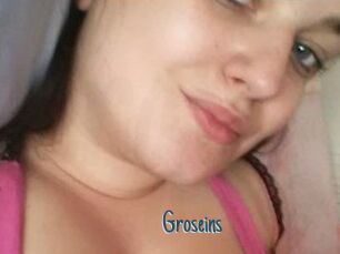 Groseins