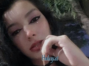 Haileycat