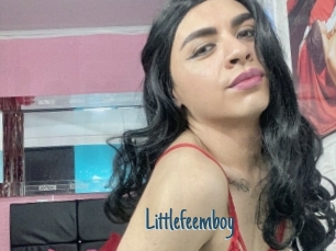 Littlefeemboy