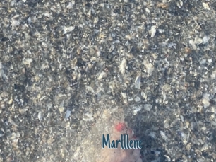 Marlllene