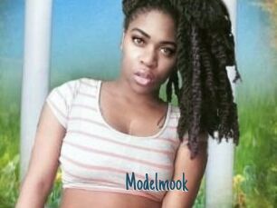 Modelmook