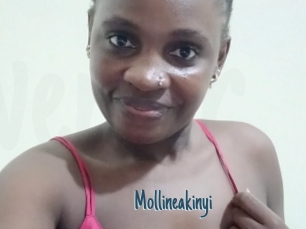 Mollineakinyi