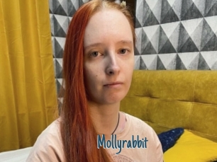 Mollyrabbit