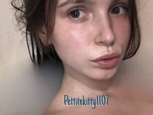 Pettitekitty1107