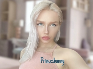 Princesbunny