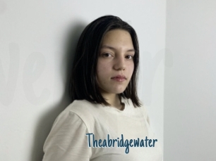 Theabridgewater