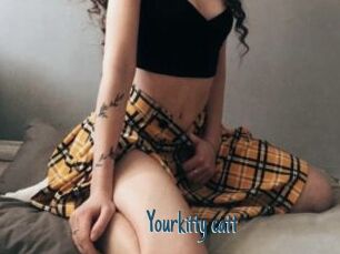 Yourkitty_catt